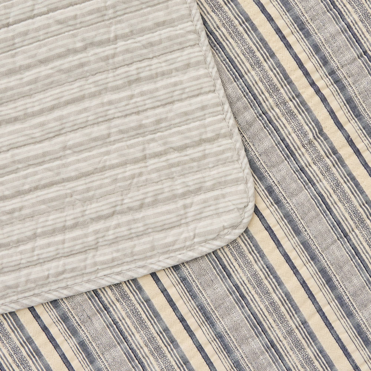 INRA-COLCH-A AZUL-6