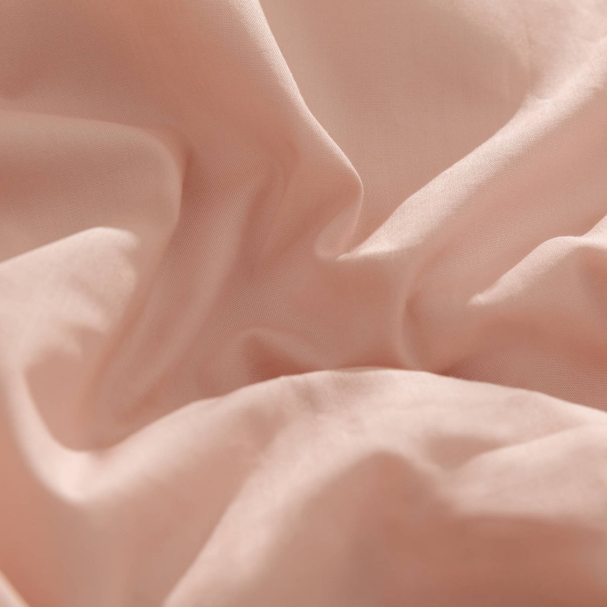 BESTO-FNORD-A ROSA-3