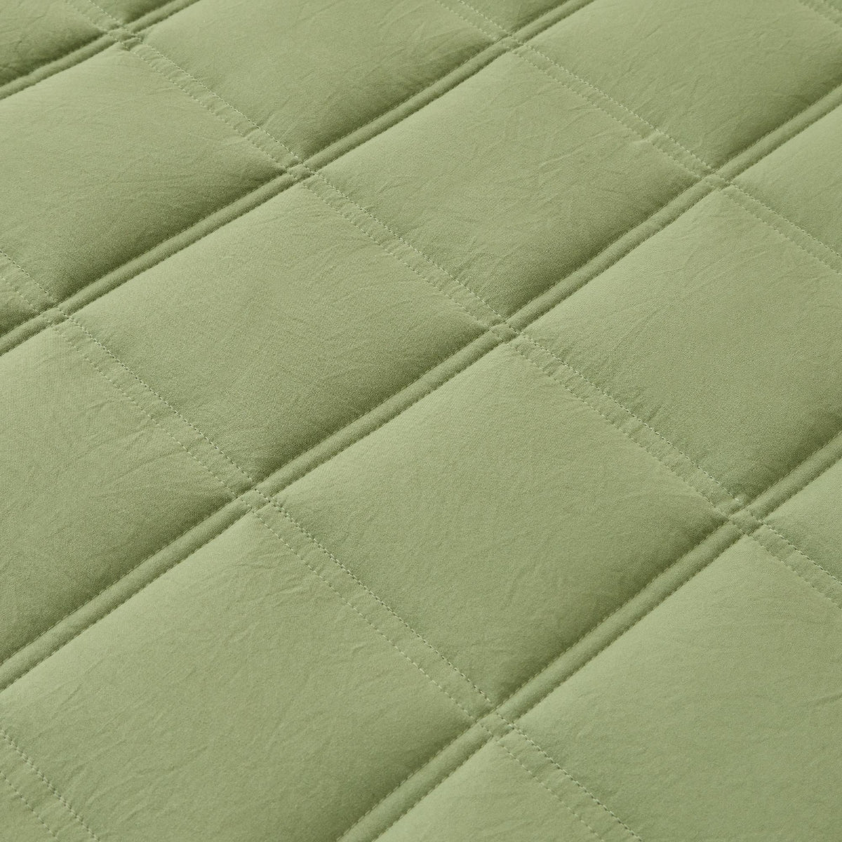 KONG-COLCH-A VERDE-5