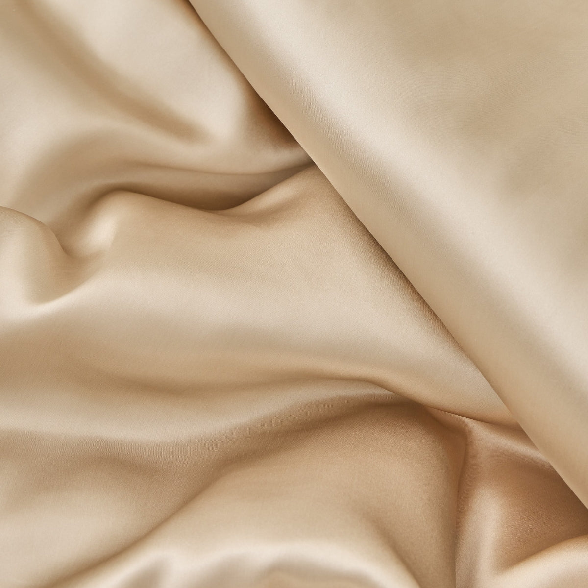 SILK-FNORD-A DORADO-1