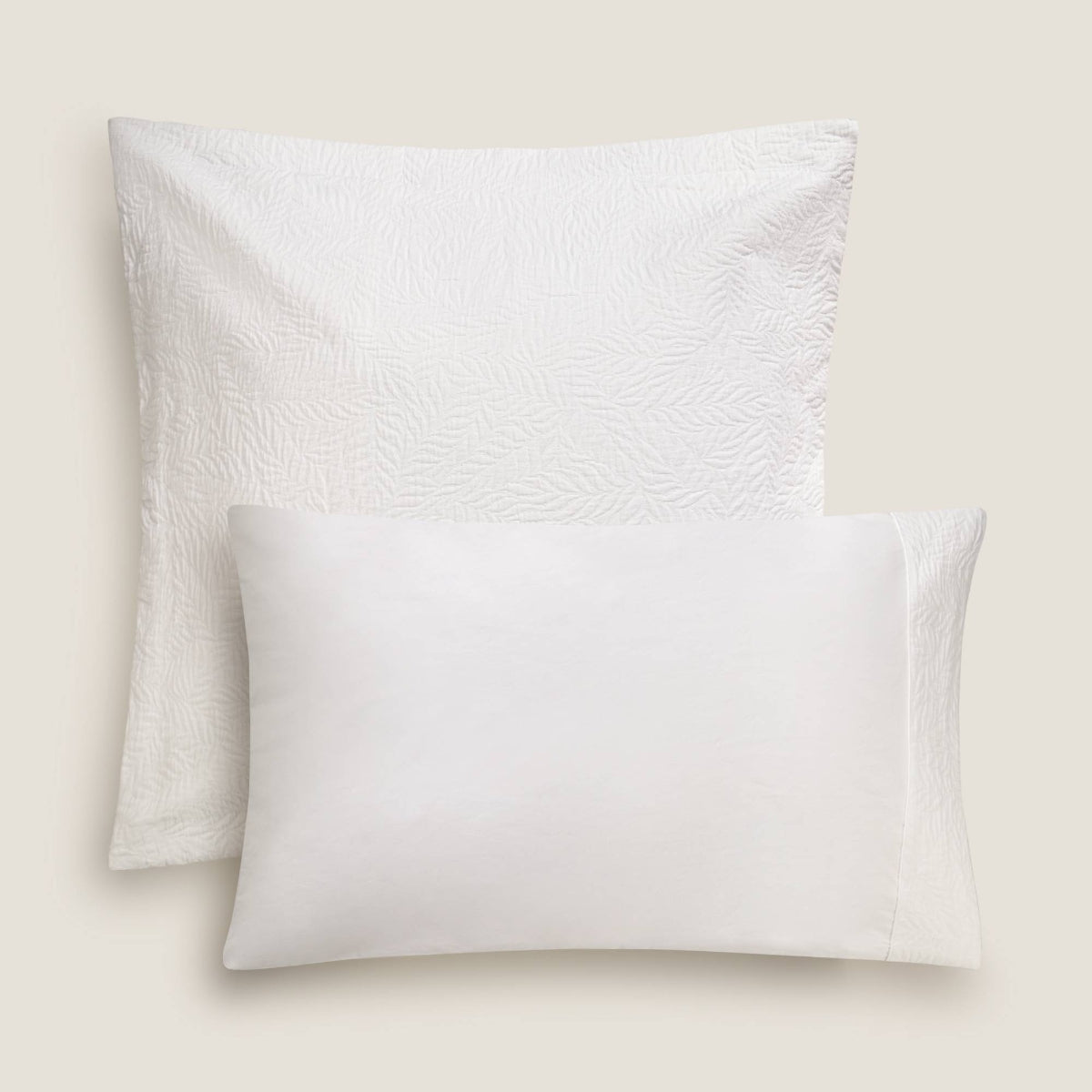 REXI-FALMO-A BLANCO-3
