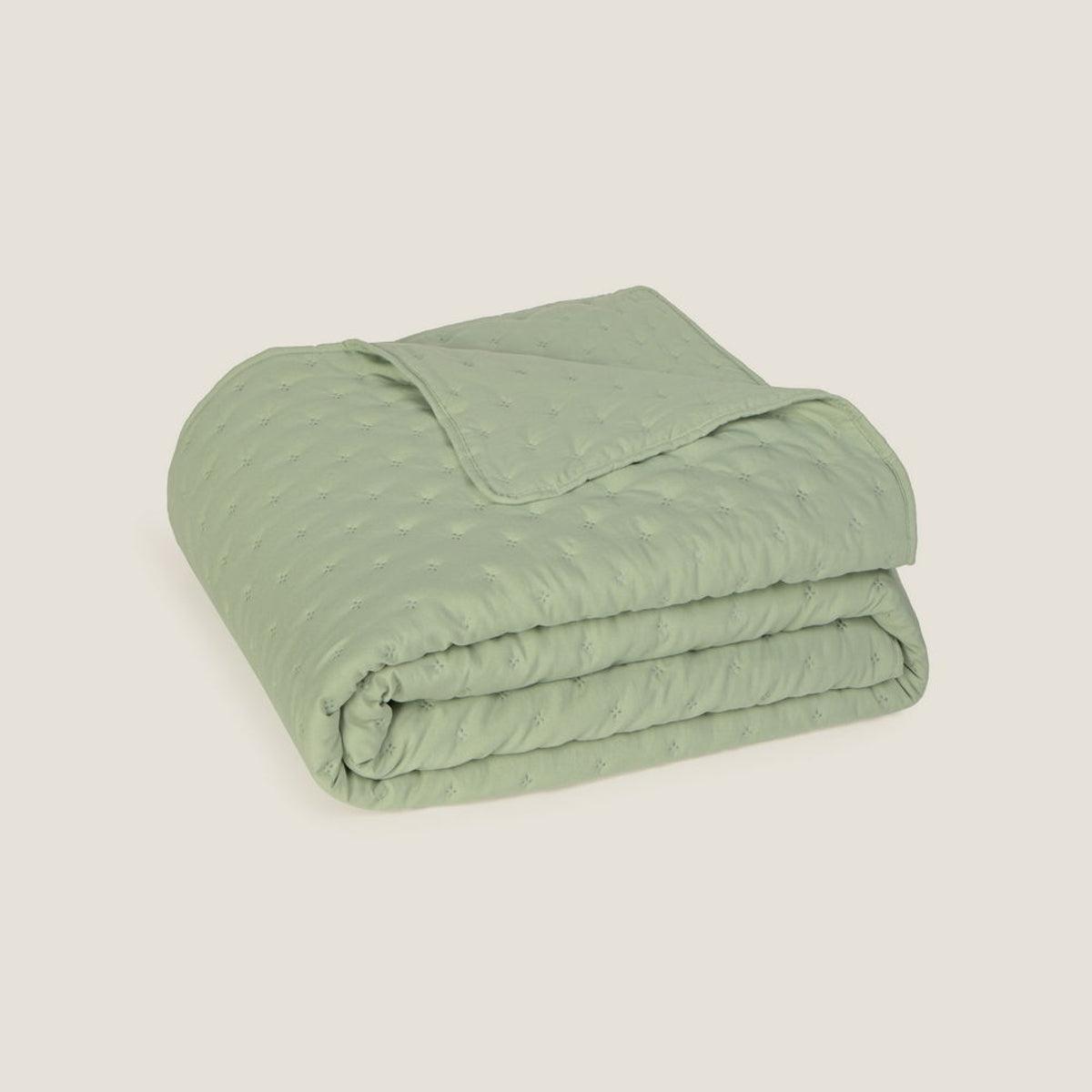 FELSON-COLCH-A VERDE-7