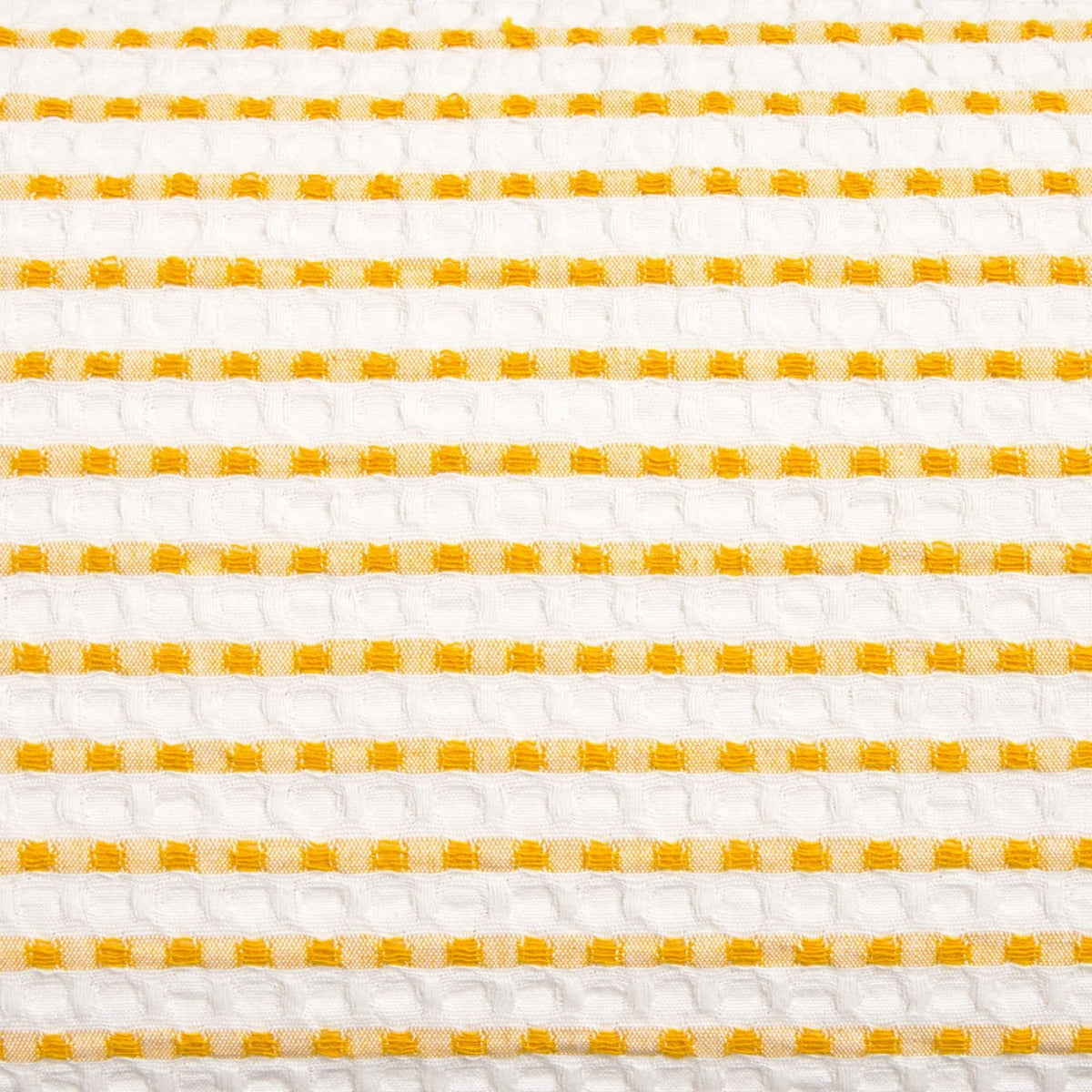 ARK-COJIN-A AMARILLO-2