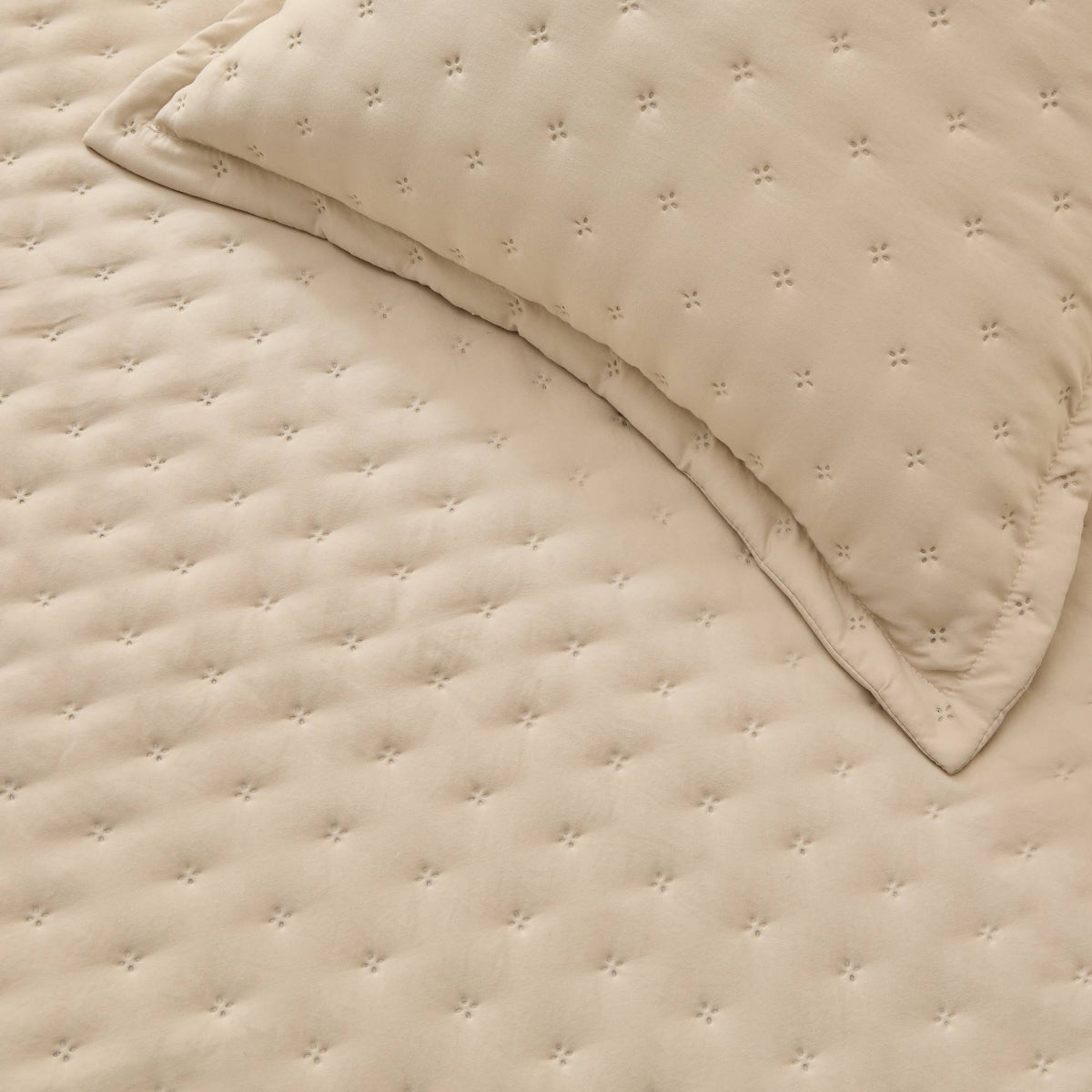 FELSON-COLCH-A MARRON BEIGE-3
