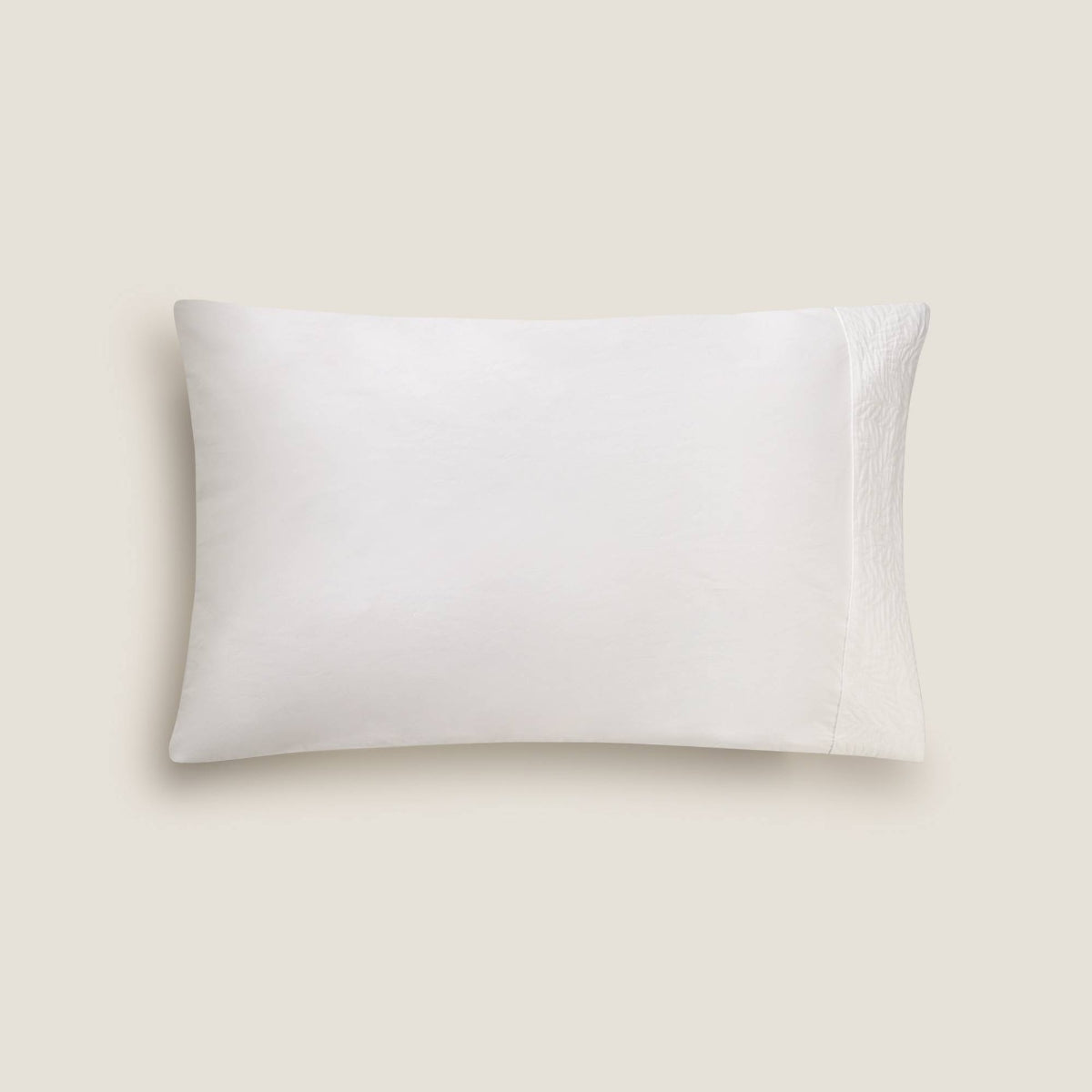 REXI-FALMO-A BLANCO-1