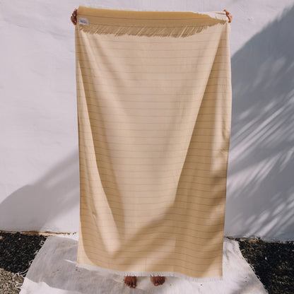 Cotton fine terry striped beach towel Bimon