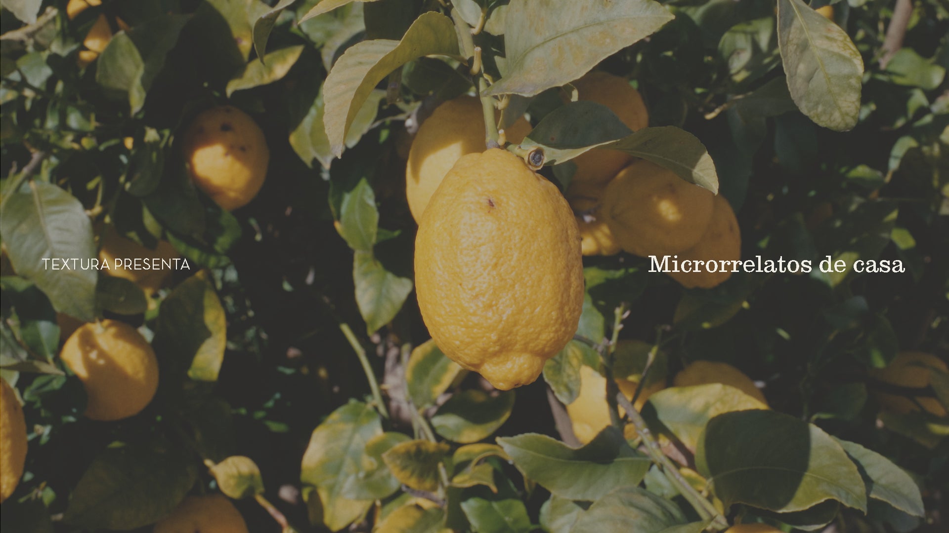 Cargar video: Microrrelatos de casa. Detalles que hacen que casa, sea tu casa.