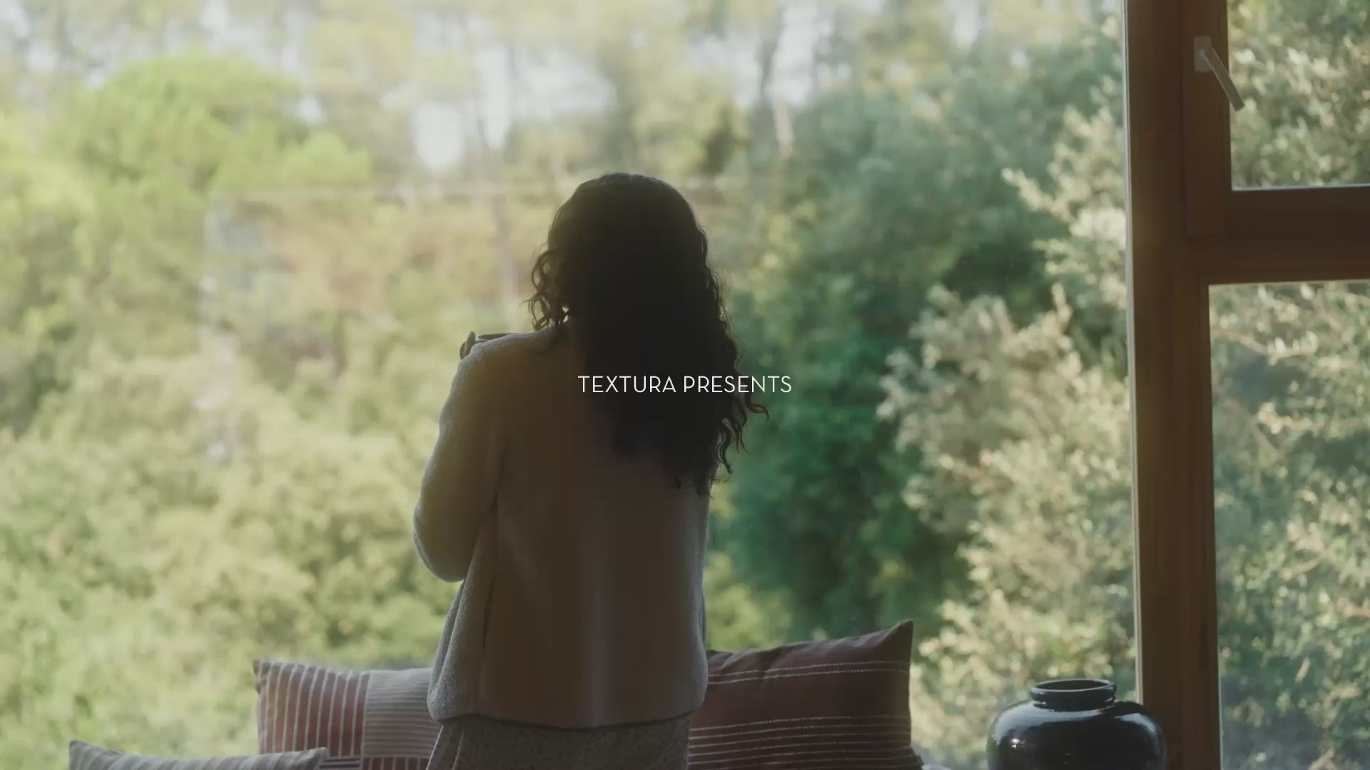 Cargar video: 