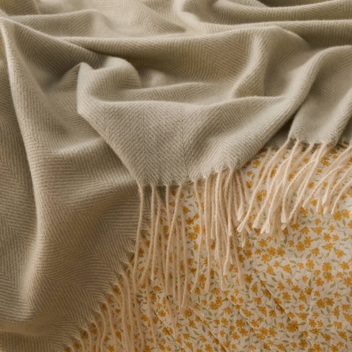 CACHI-PLAID-A VERDE-1