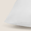 RECVIS-RELLA-A BLANCO-1