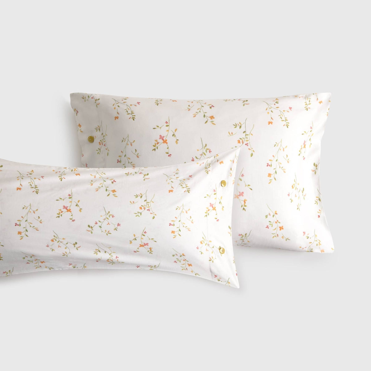 LASUSA-FALMO-A ROSA-2