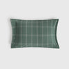SAX-FALMO-A VERDE-1