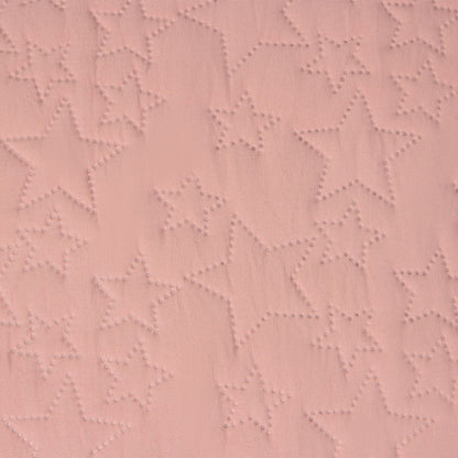 ASTARI-FCTEC-I ROSA-2