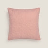 ASTARI-FCTEC-I ROSA-0