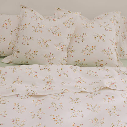 LASUSA-SABAN-A ROSA-2