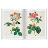 ROSES-LIBRO-D BCO-3