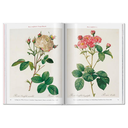 ROSES-LIBRO-D BCO-3