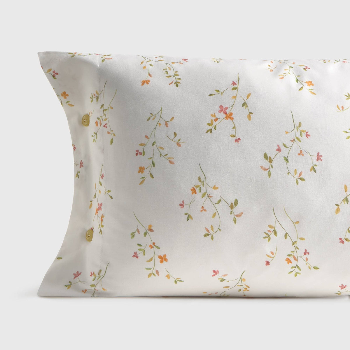 LASUSA-FALMO-A ROSA-0