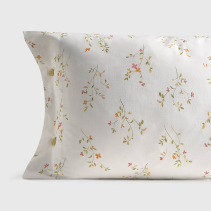 LASUSA-FALMO-A ROSA-0