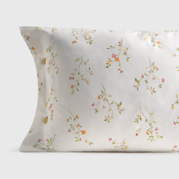 LASUSA-FALMO-A ROSA-0