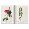 ROSES-LIBRO-D BCO-4