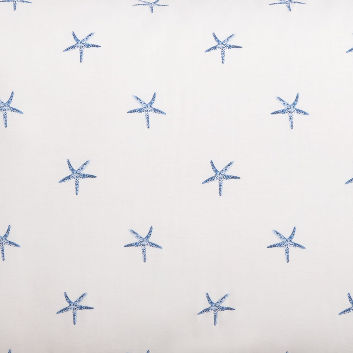 CREA-FALMO-A AZUL-4