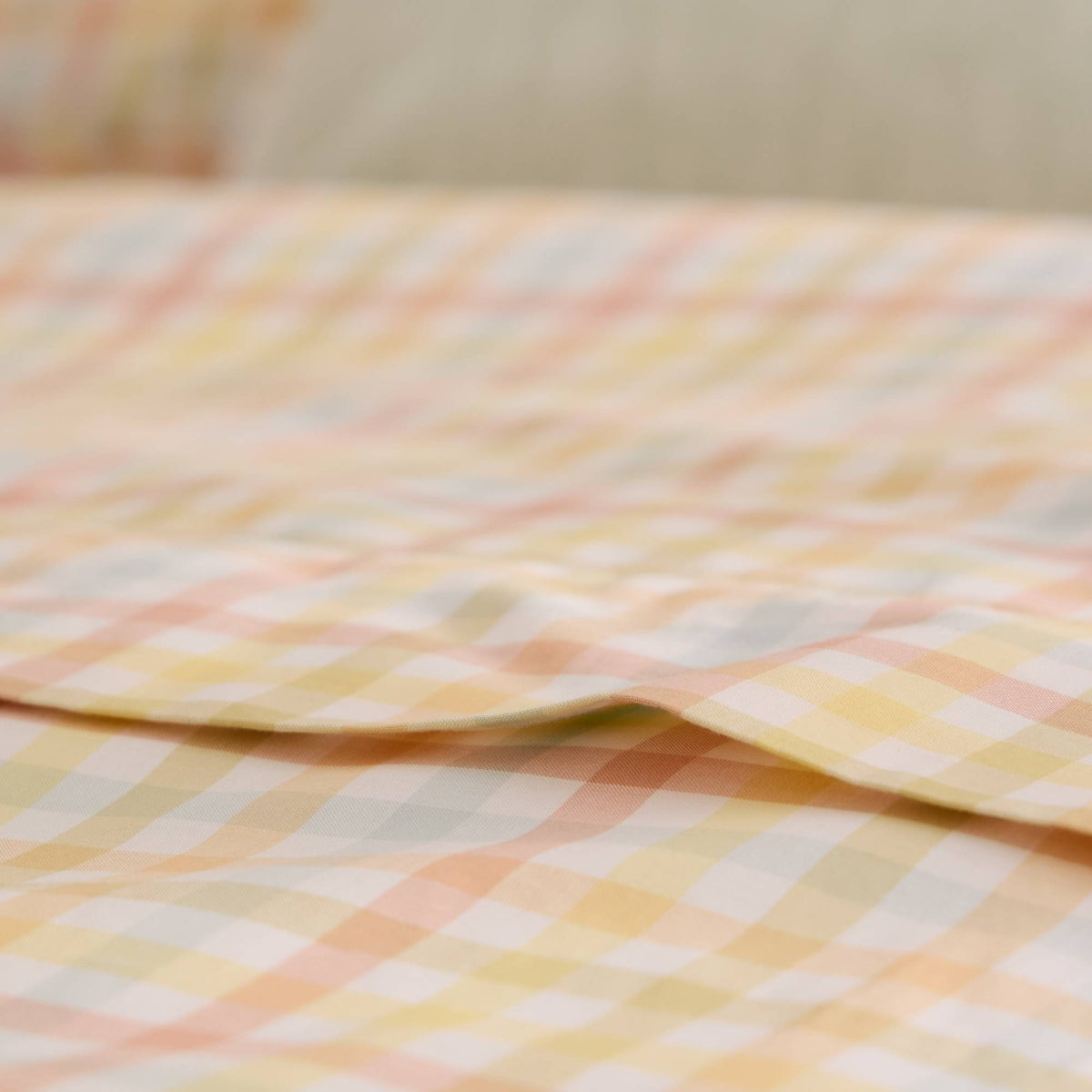 KIMCUAD-SABAN-I VARIOS-2