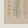 FERN-INDIV-A MARFIL LINO-2