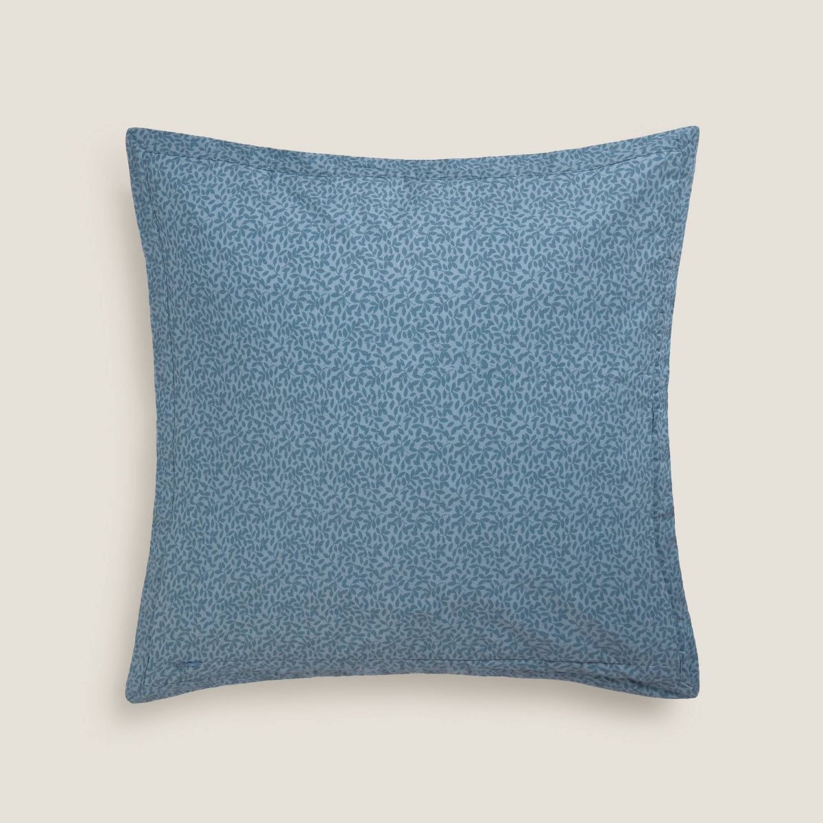 INPAT-FCTES-A AZUL-1
