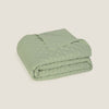 FELSON-COLCH-A VERDE-7