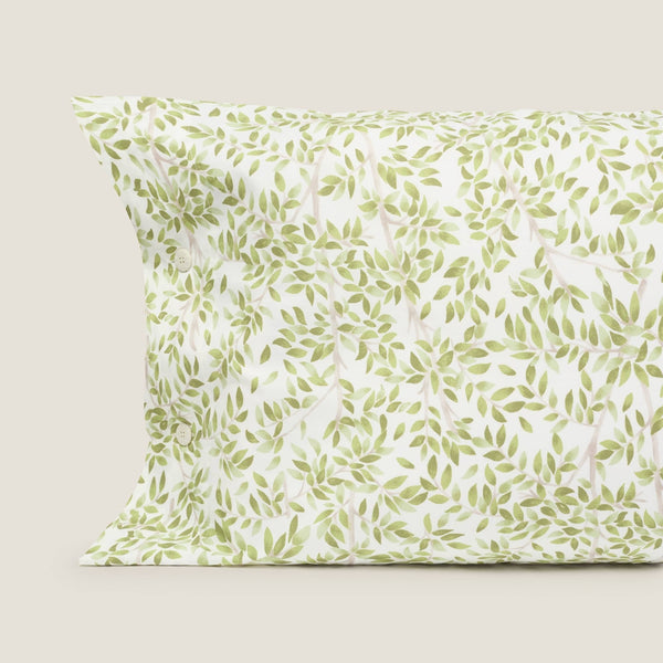 GRAMA-FALMO-A VERDE-0