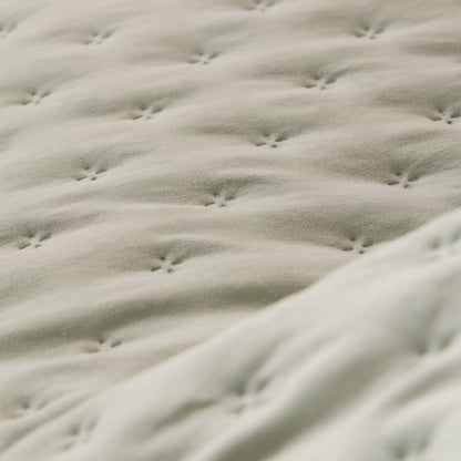 FELSON-COLCH-A VERDE-1