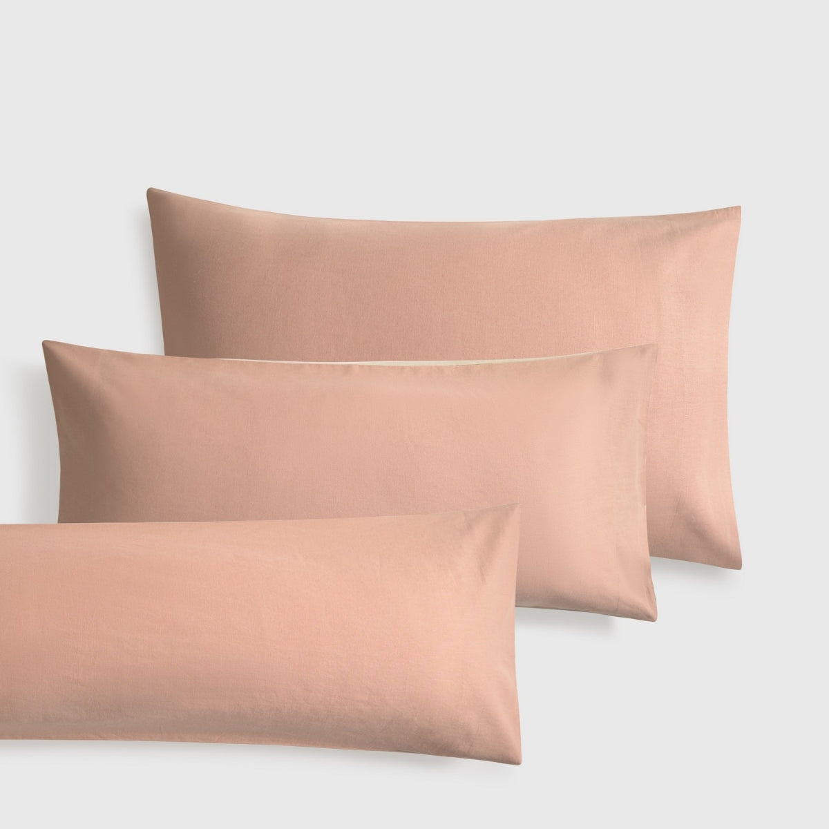 LINLOV-FALMO-A ROSA-2