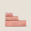 CLAUDIA-TOALB-A ROSA-1
