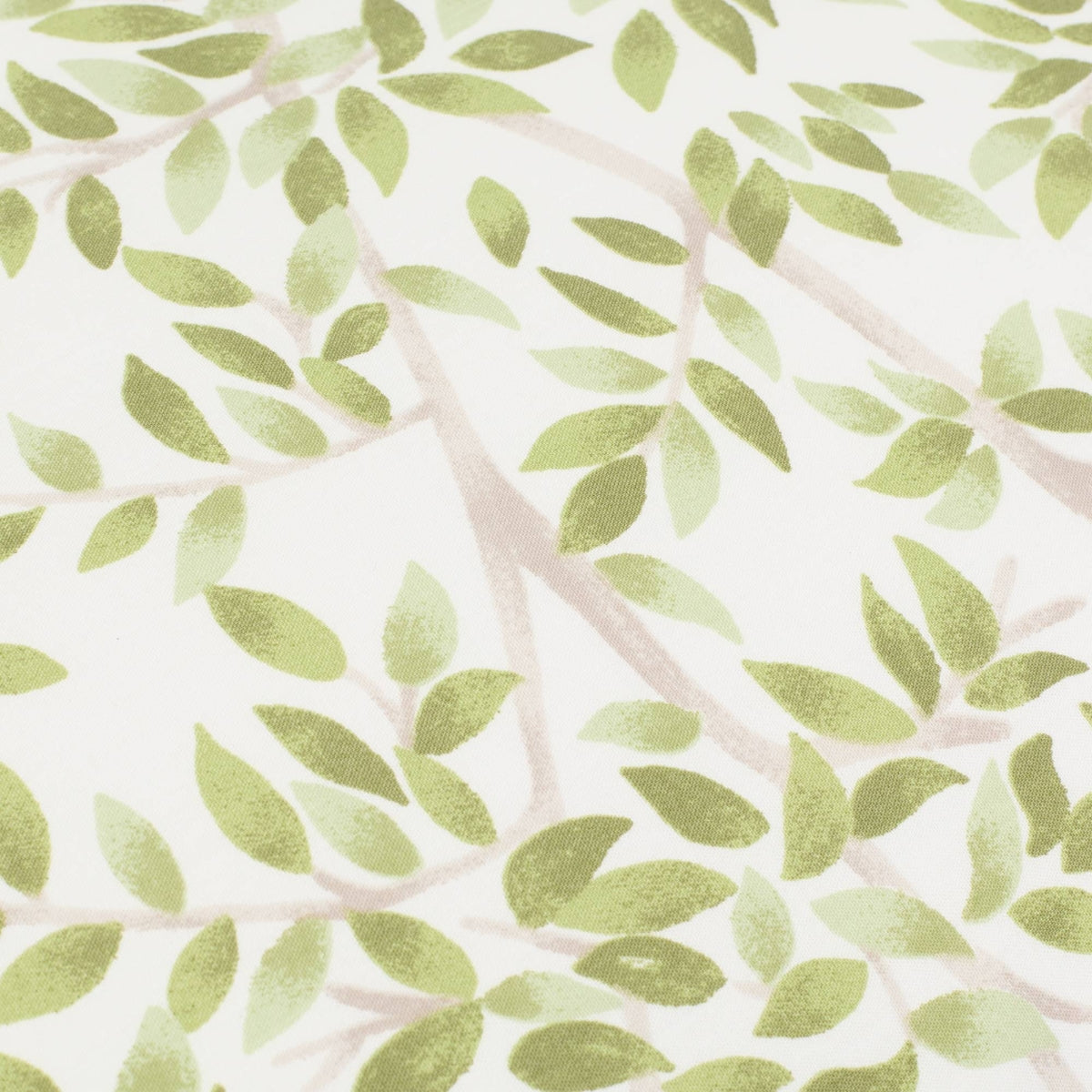 GRAMA-FALMO-A VERDE-1