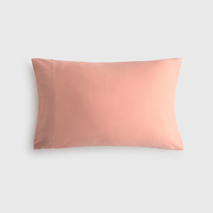 PUNTIB-FALMO-A ROSA CLARO-1