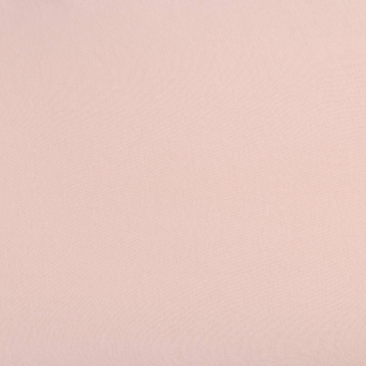 PUNTIB-FALMO-A ROSA-1