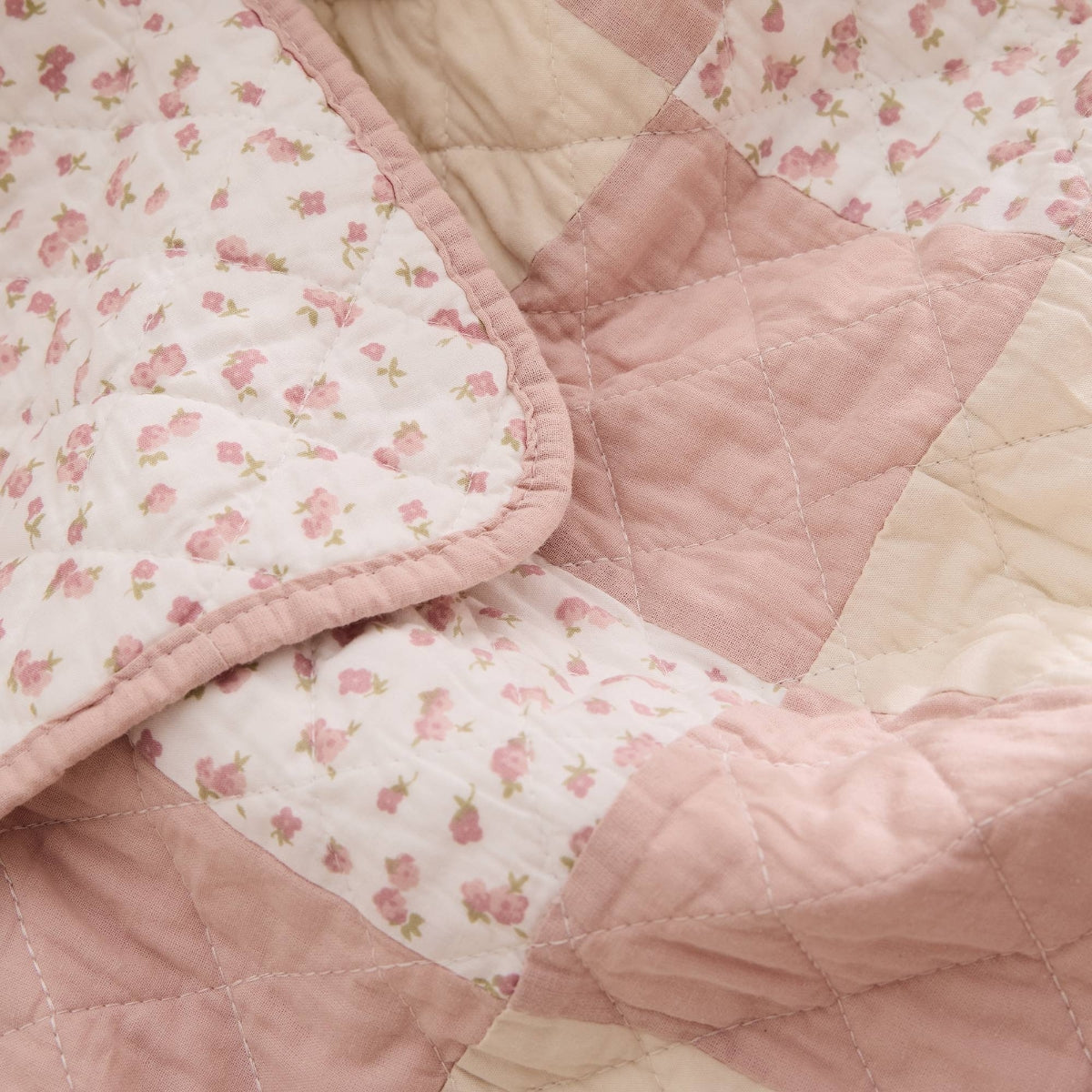 LALAKI-COLCH-B ROSA-2