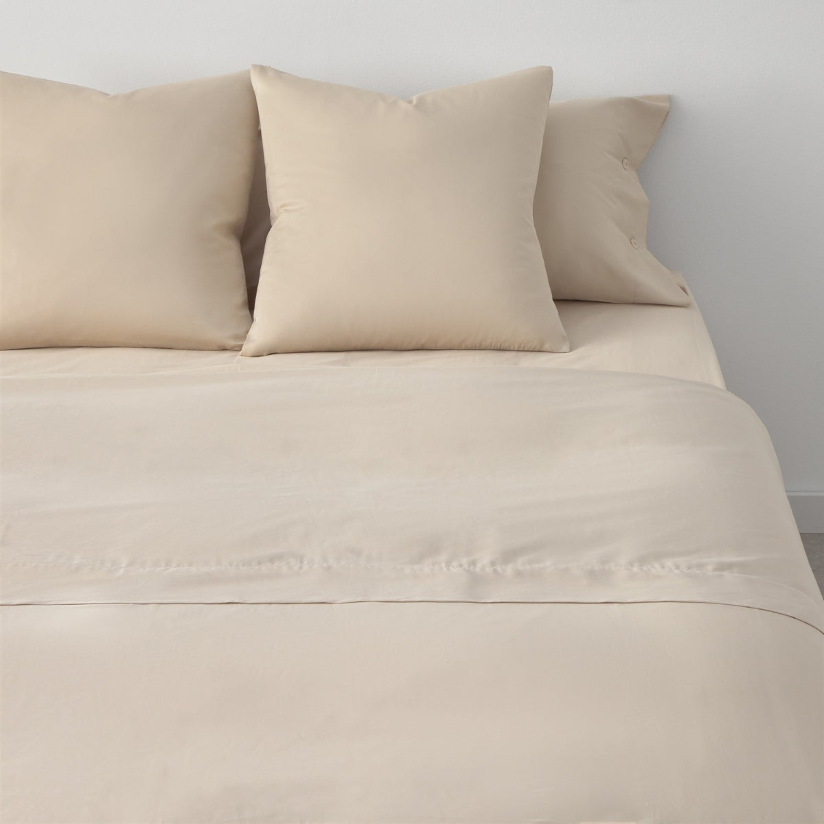 RITZI-SABAN-A MARRON BEIGE-1