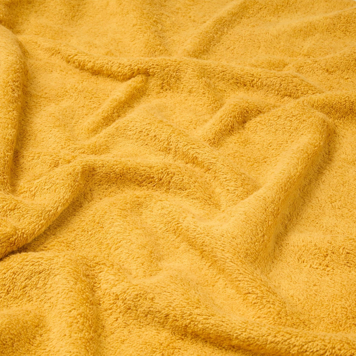 GEOT-TOALB-A AMARILLO-2