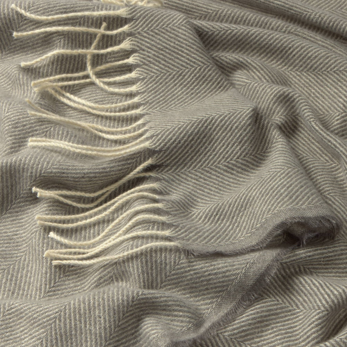 CACHI-PLAID-A GRIS-3