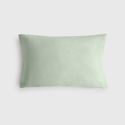 PUNTIB-FALMO-A VERDE-1