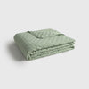 FELSON-COLCH-A VERDE-5