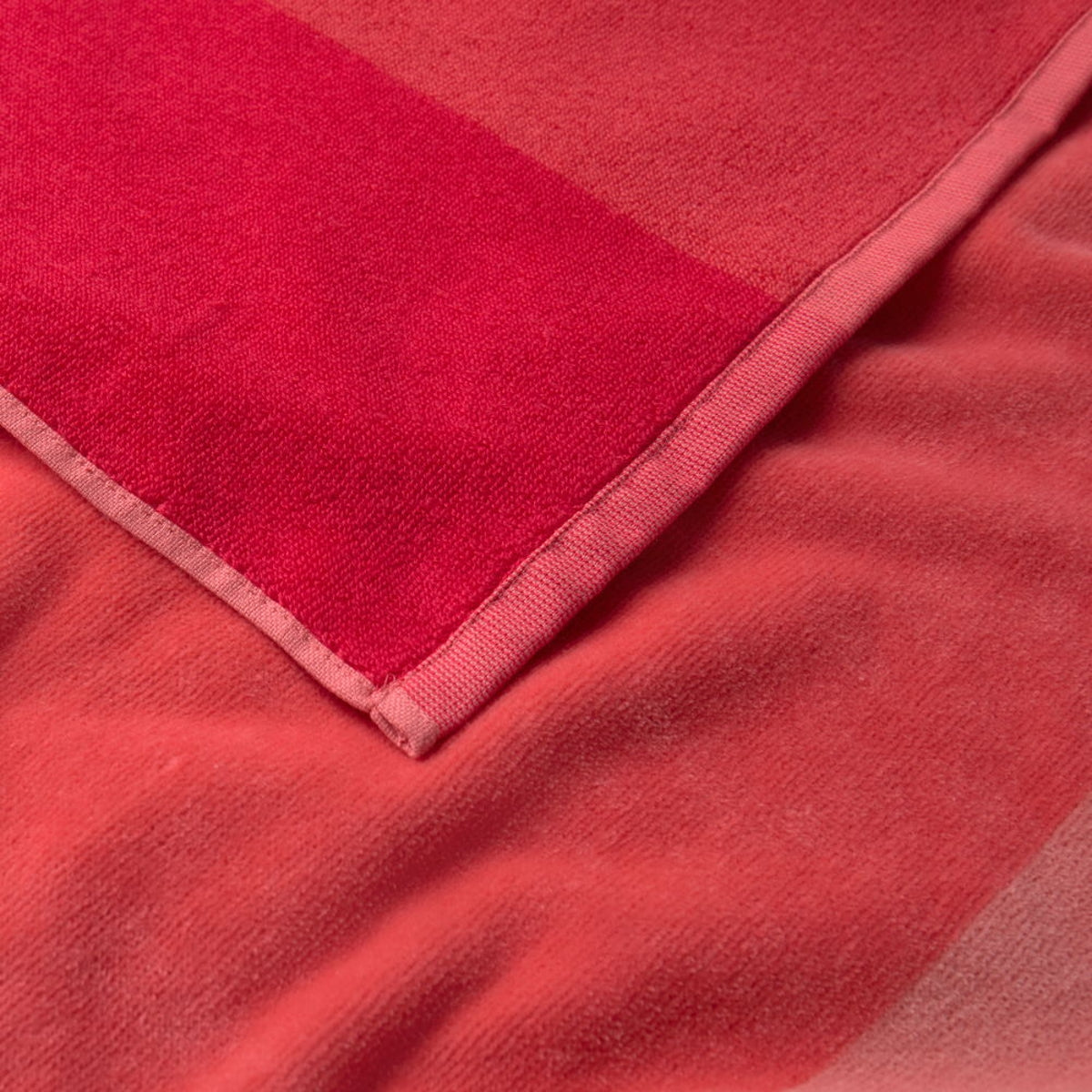 BABALI-TOALP-A ROSA-2