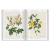 ROSES-LIBRO-D BCO-5