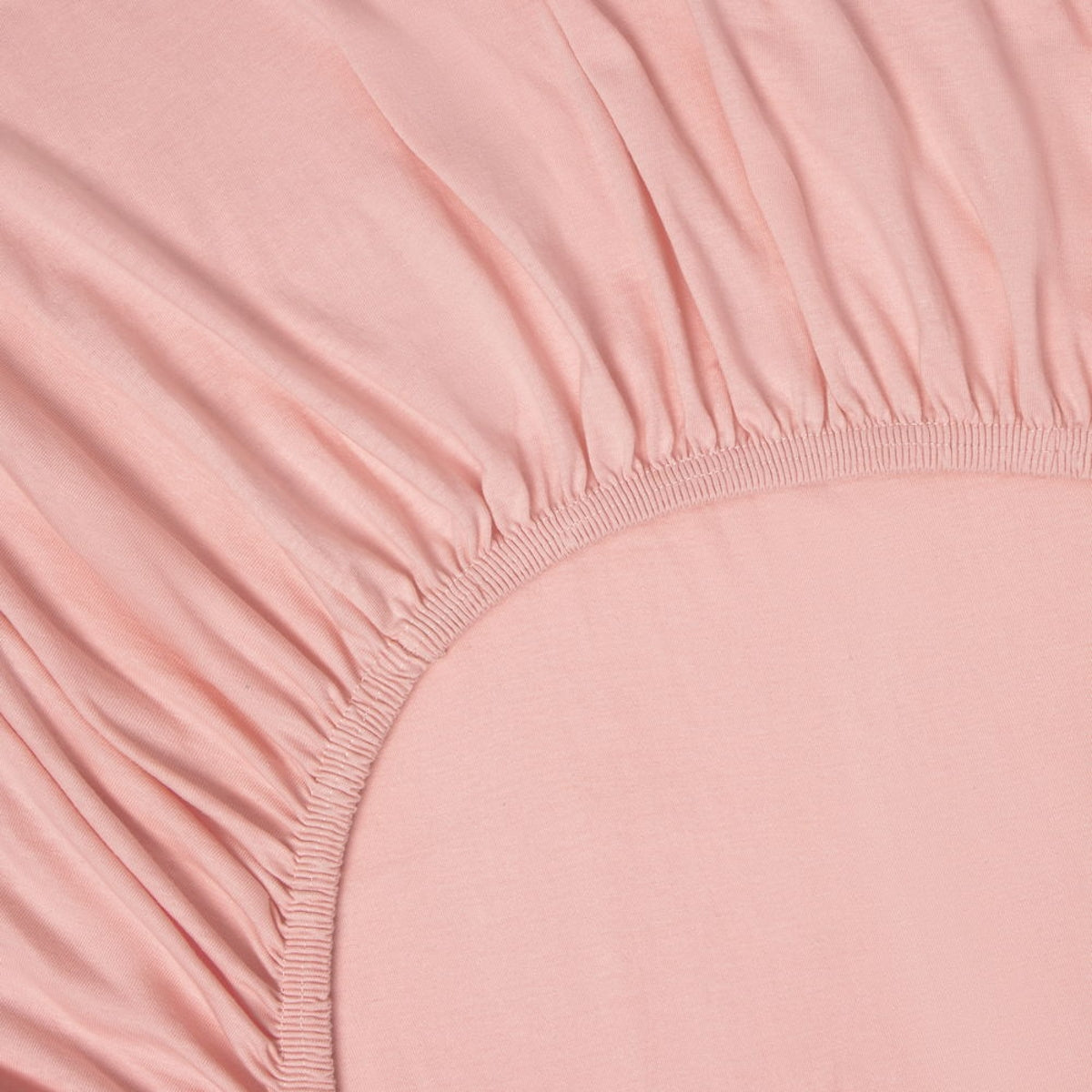 KINBI-BAJER-I ROSA-2