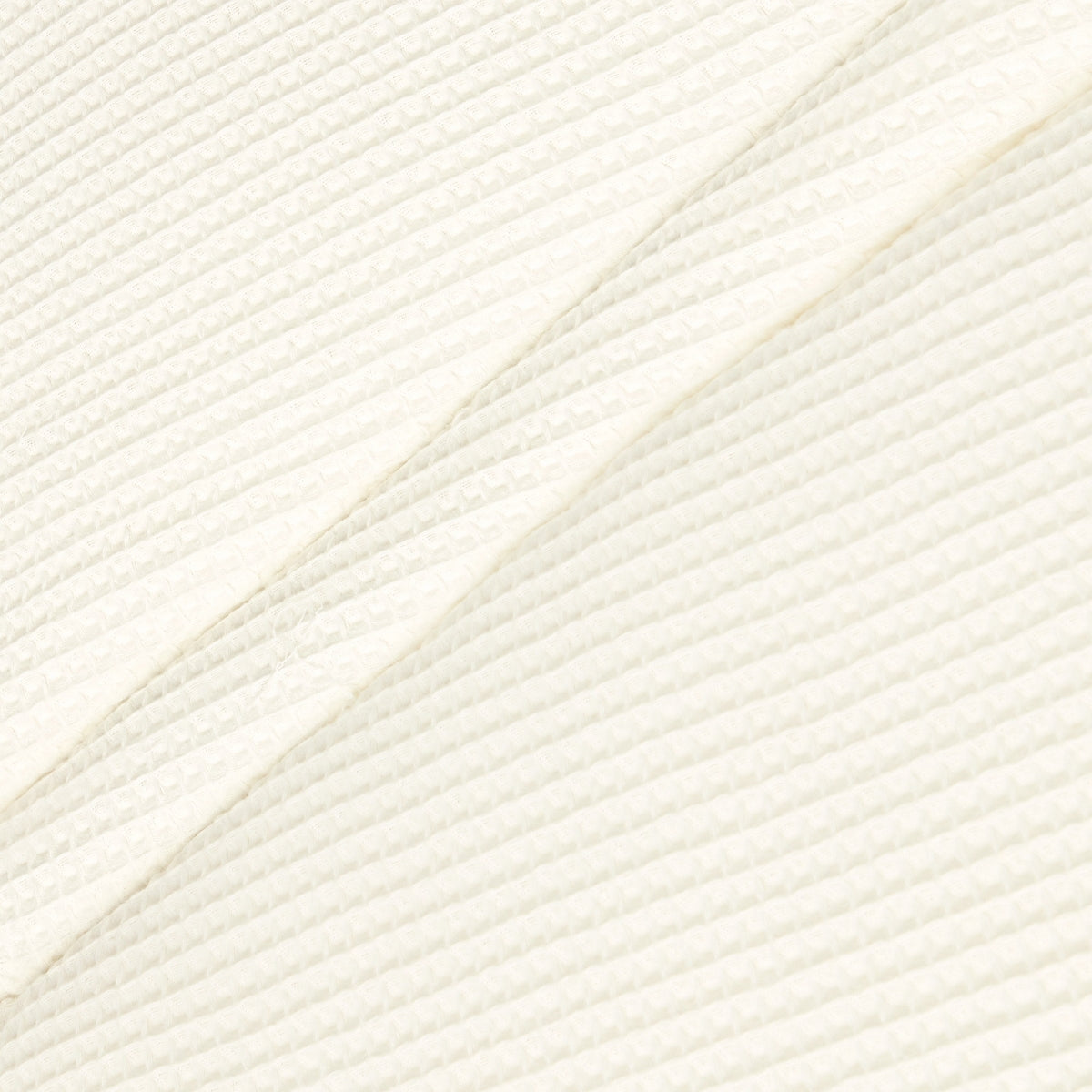 PRONIDU-PROTE-B BLANCO-3