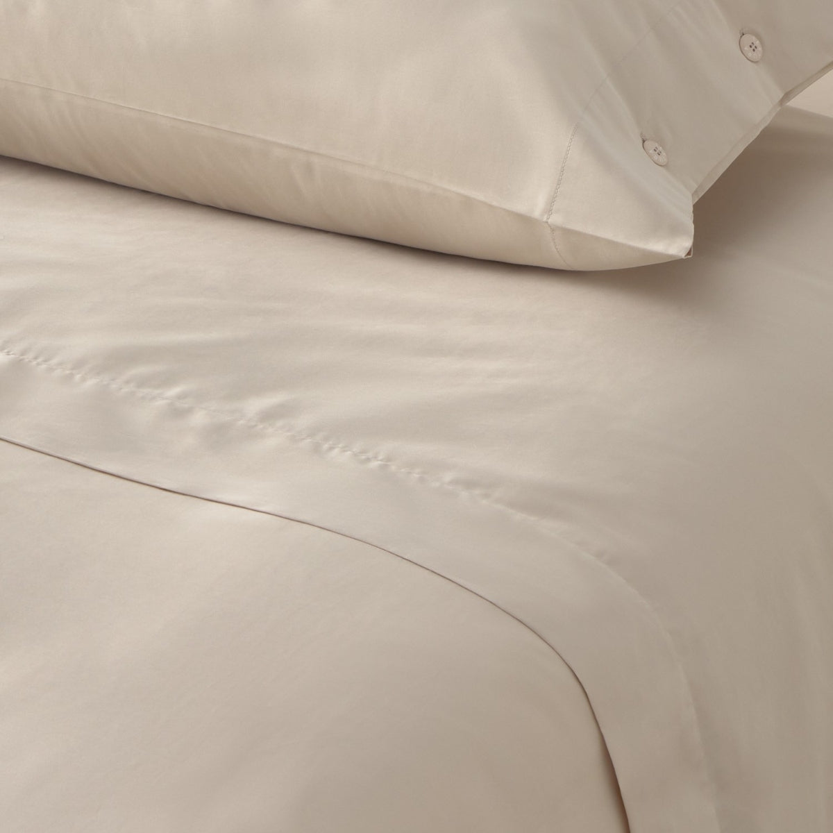 RITZI-SABAN-A MARRON BEIGE-0