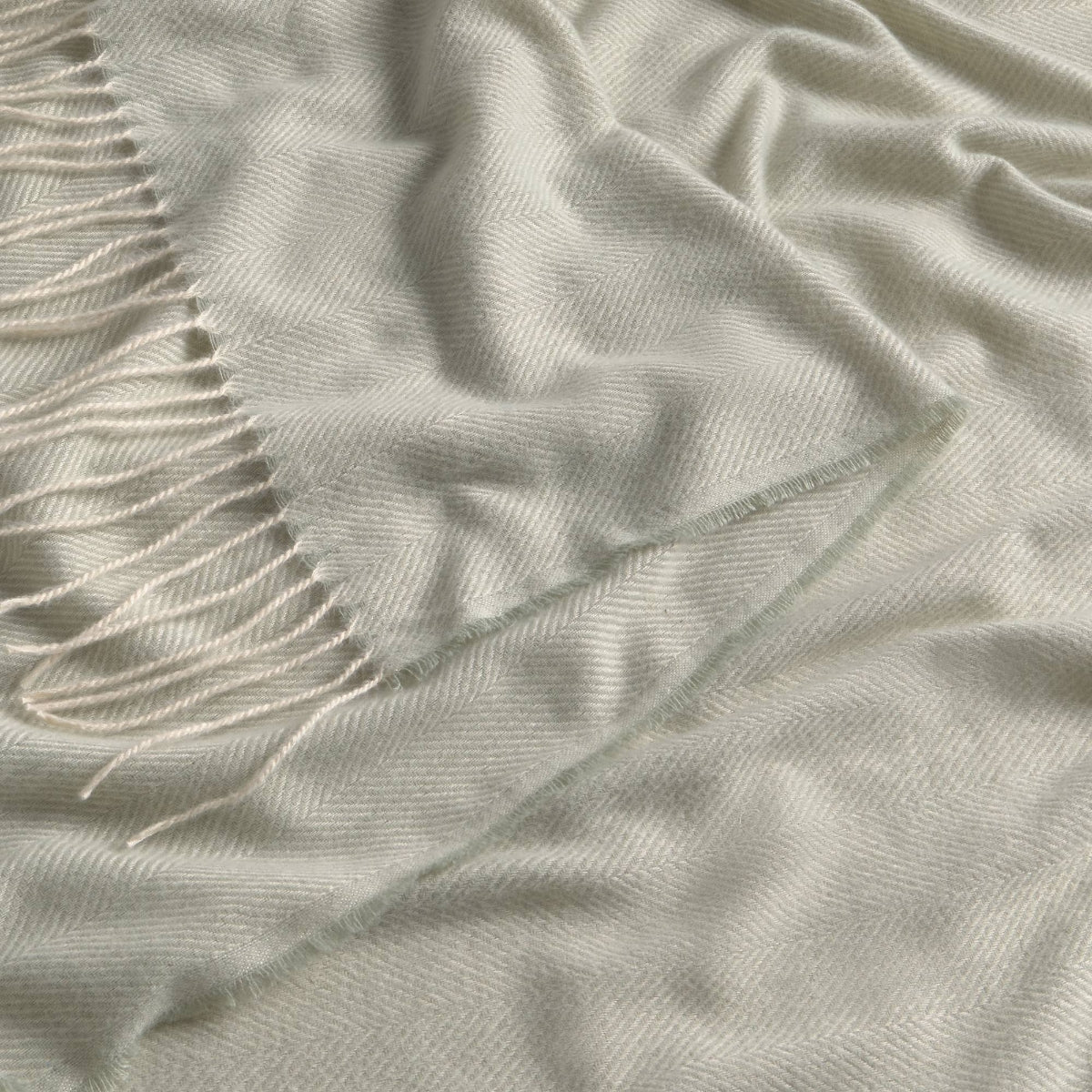 CACHI-PLAID-A VERDE-3