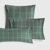 SAX-FALMO-A VERDE-3